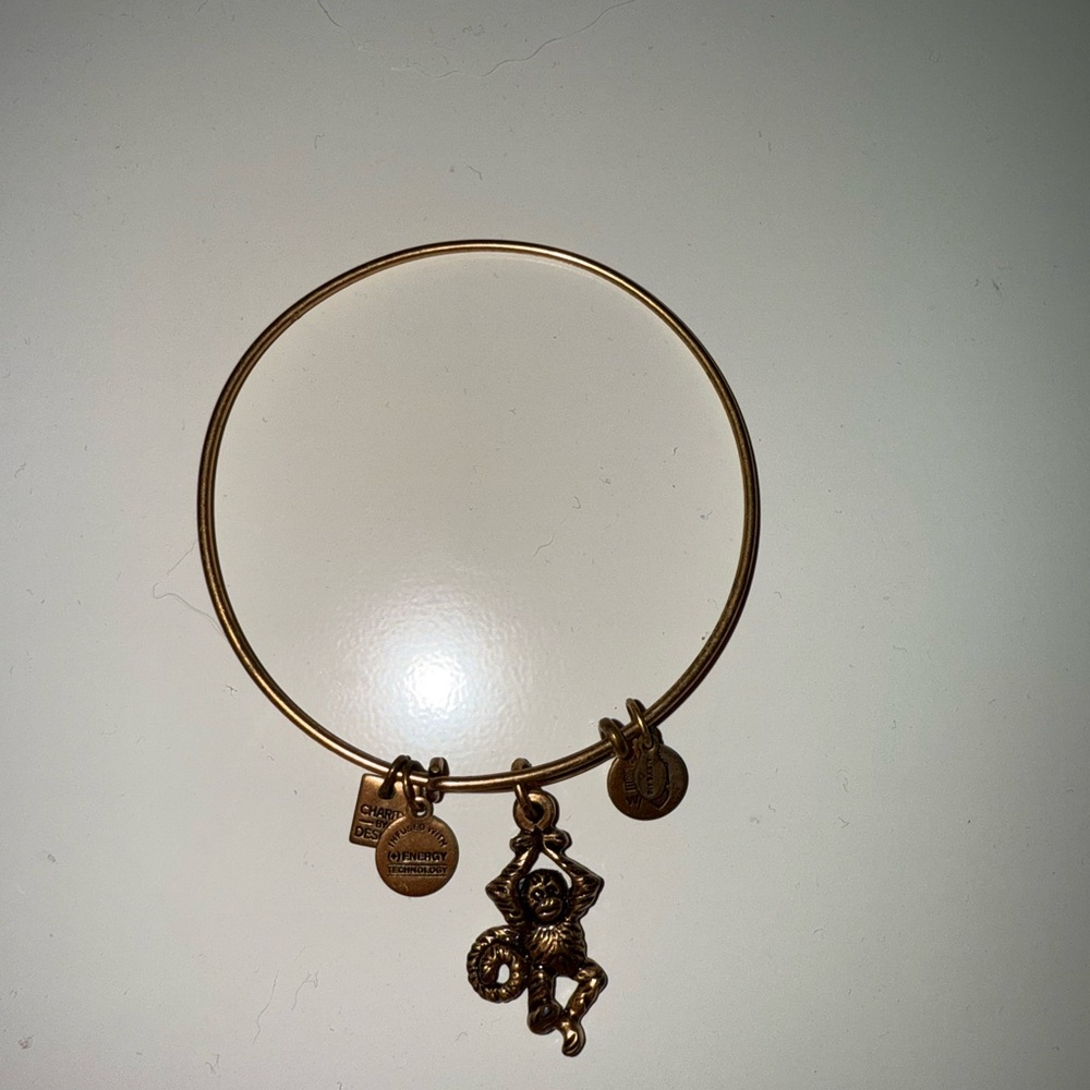Alex and Ani Gold Charm monkey Bangle Bracelet